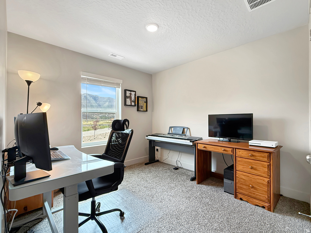 3991 S WHITE ASH DR Mapleton, UT 84664