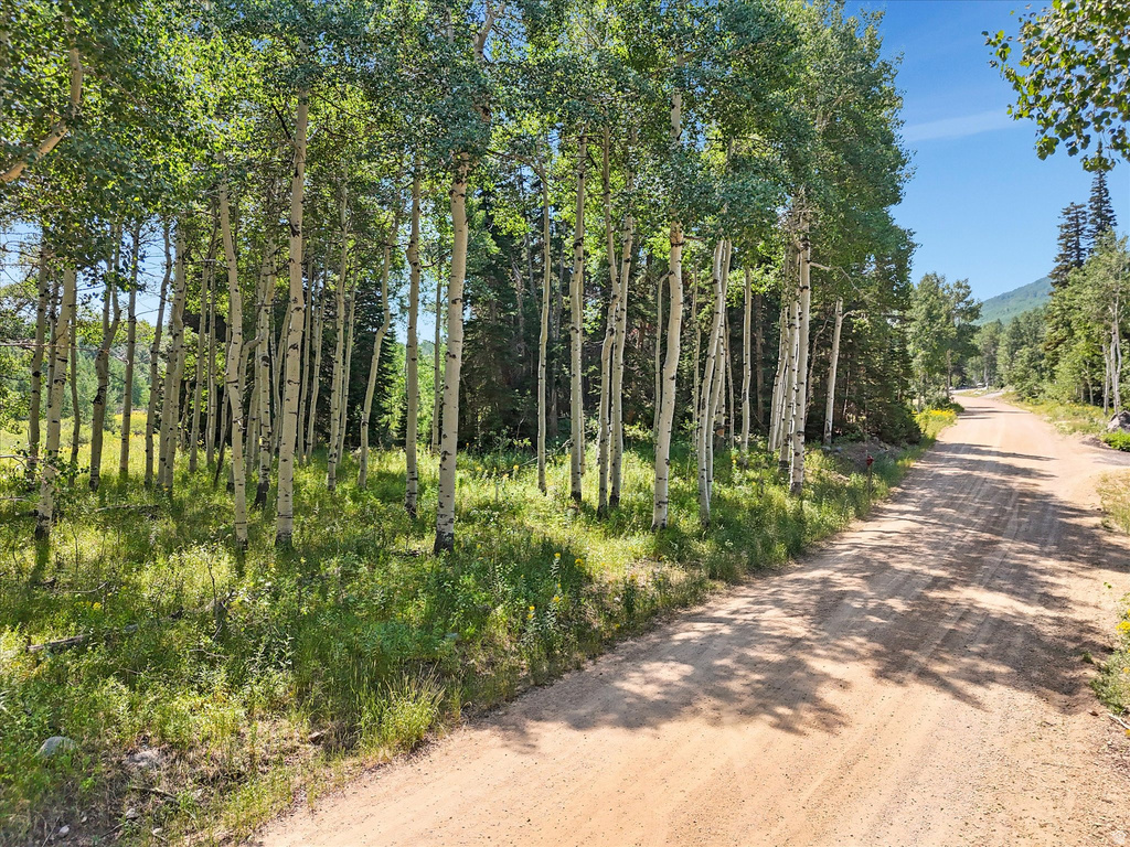 4403  FAWN WAY Heber City, UT 84032