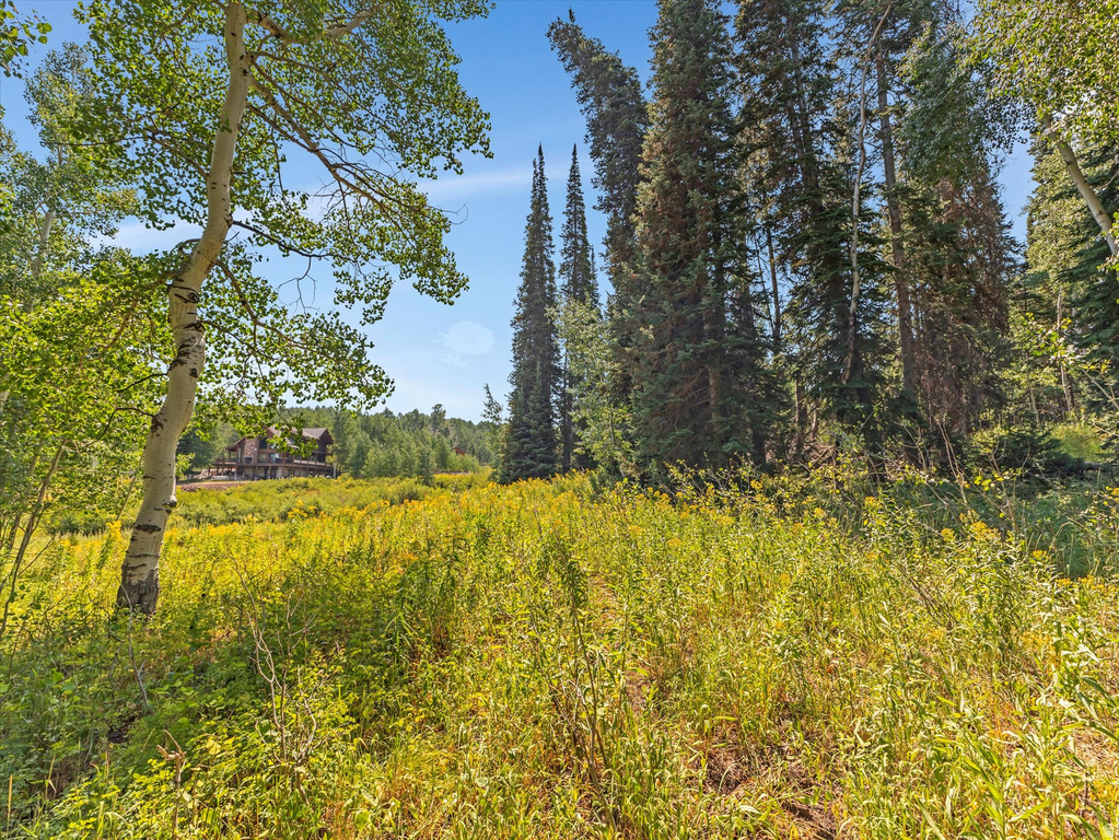 4403  FAWN WAY Heber City, UT 84032