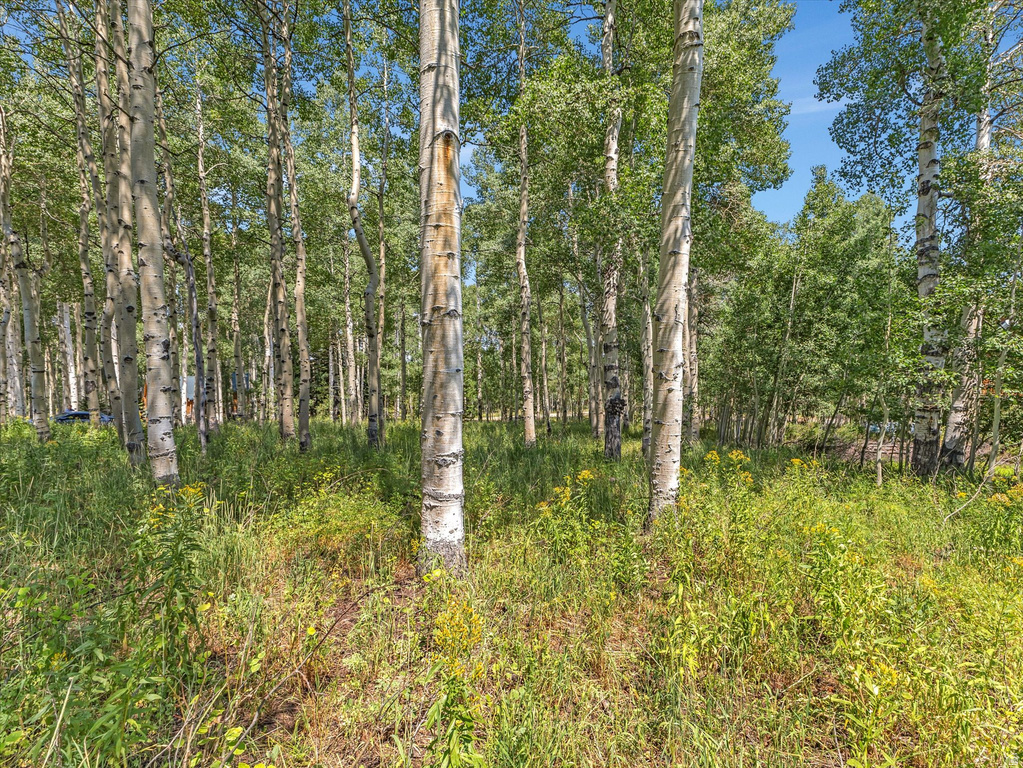 4403  FAWN WAY Heber City, UT 84032