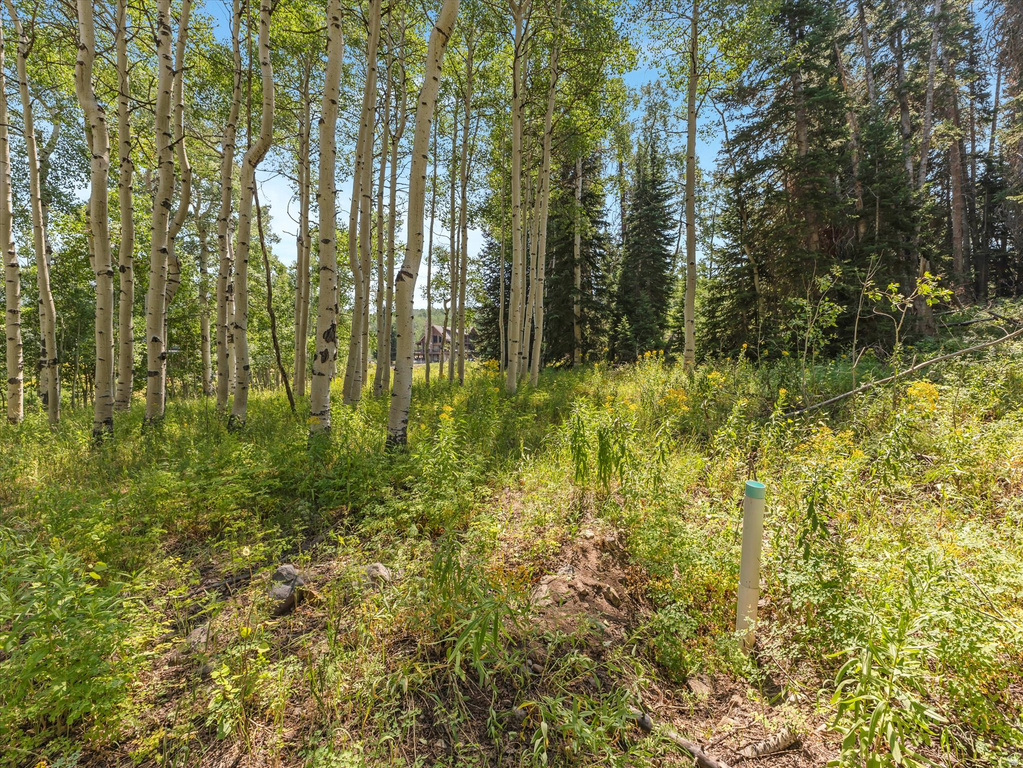 4403  FAWN WAY Heber City, UT 84032