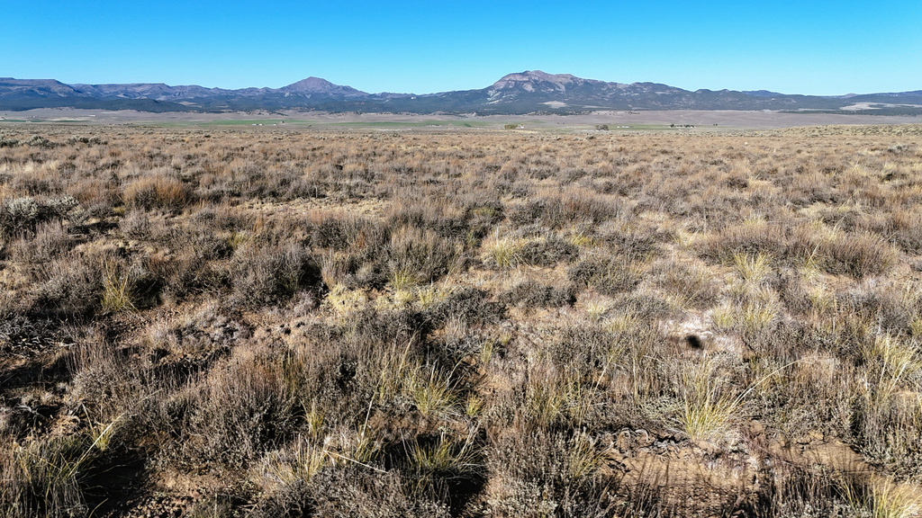 4855 N PEAK VIEW RD Panguitch, UT 84759