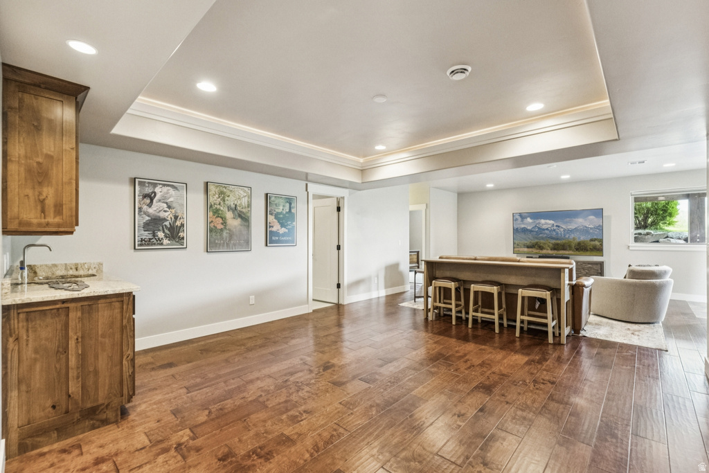 Indoor wet bar featuring a tray ceiling, recessed lighting, dark wood finished floors, and light stone countertops