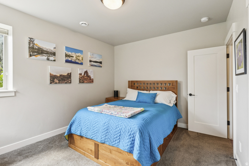 Bedroom with carpet floors and baseboards