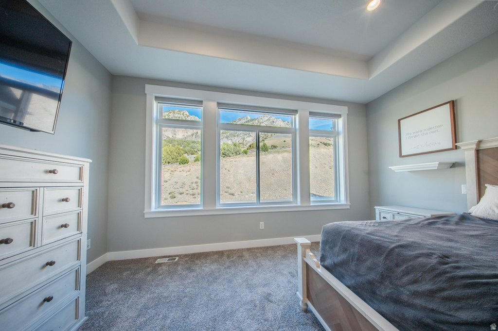 Bedroom with dark colored carpet and a raised ceiling