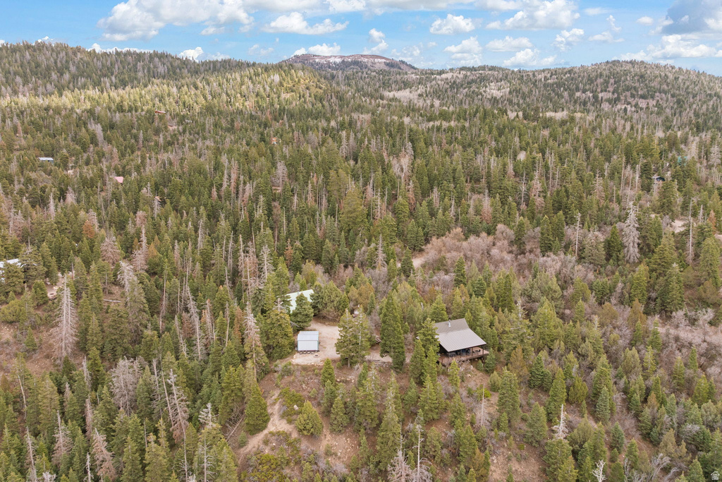 106 E SUGAR PINE DR #106A Mt Pleasant, UT 84647