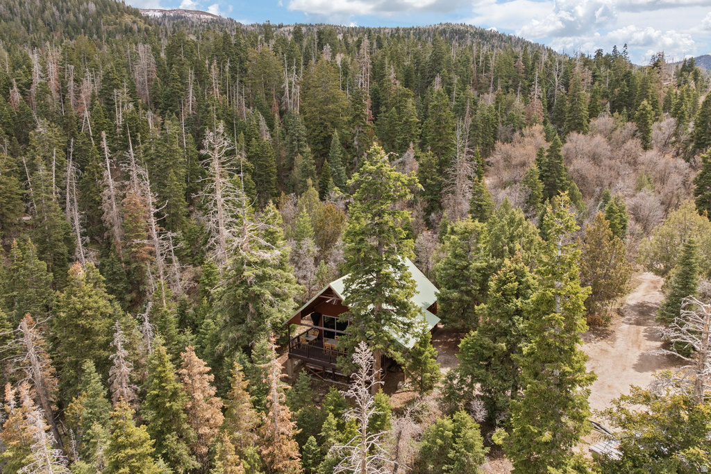 106 E SUGAR PINE DR #106A Mt Pleasant, UT 84647