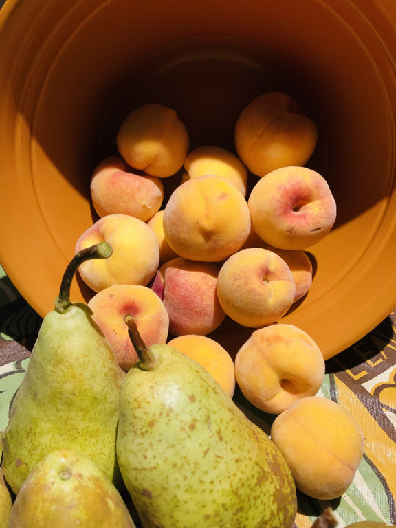 140 N 200 E Glenwood, UT 84730