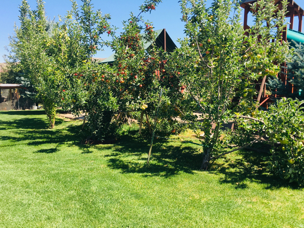 140 N 200 E Glenwood, UT 84730