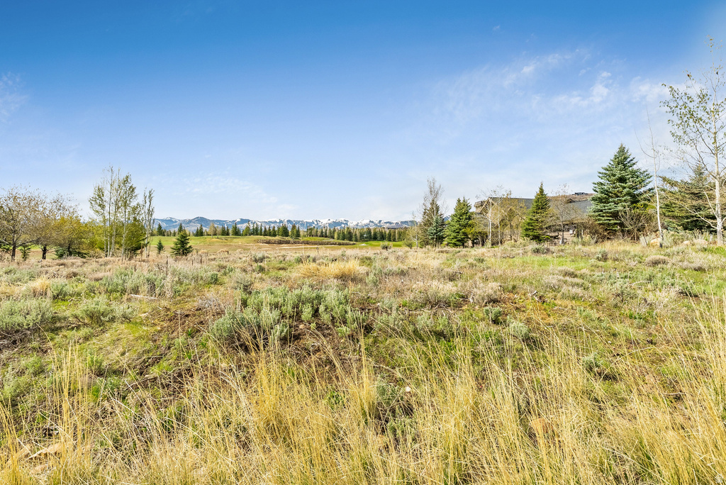 8005  GLENWILD DR Park City, UT 84098