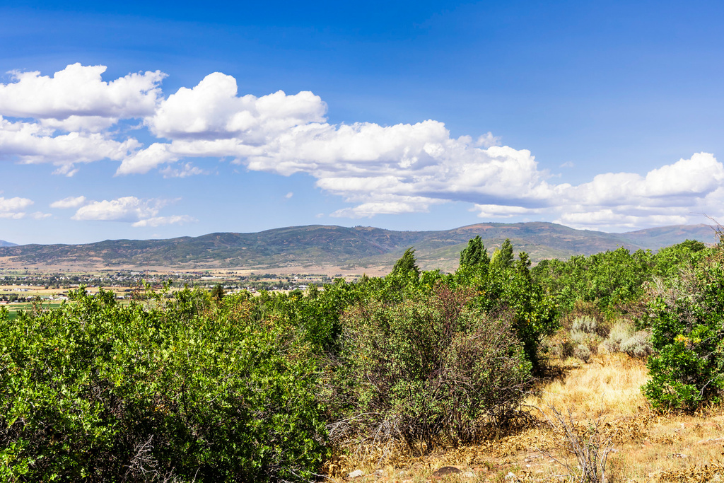 1417  SPLENDOR VALLEY RD Kamas, UT 84036