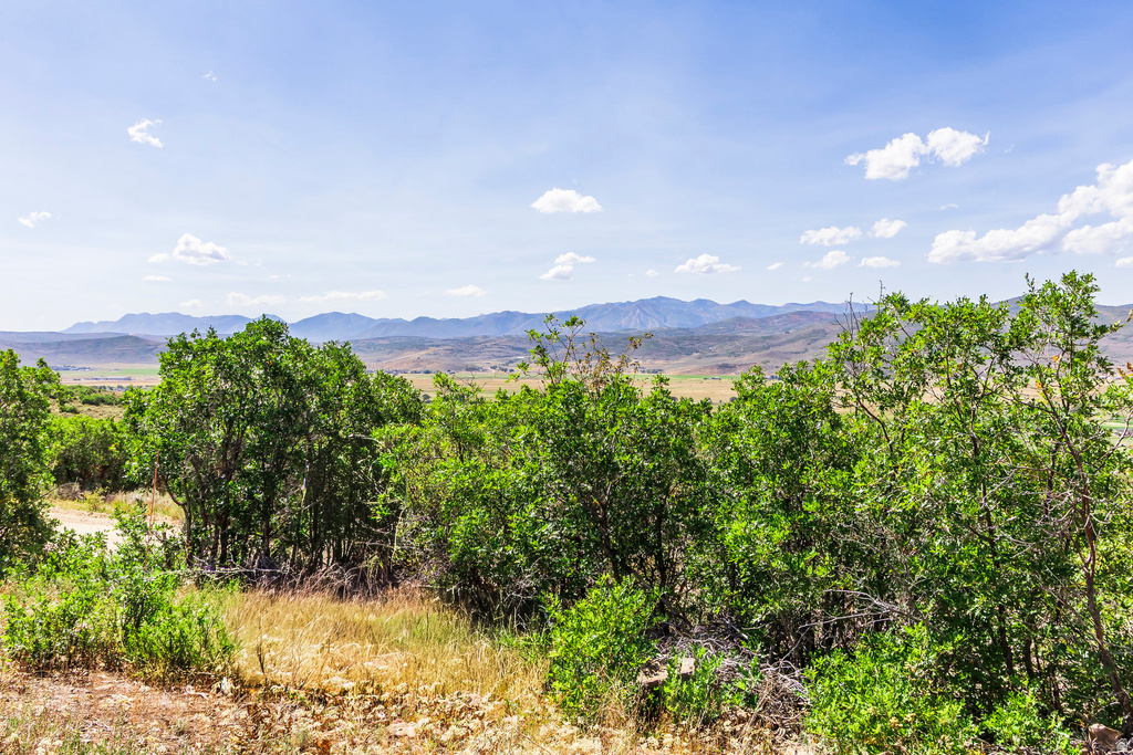1417  SPLENDOR VALLEY RD Kamas, UT 84036