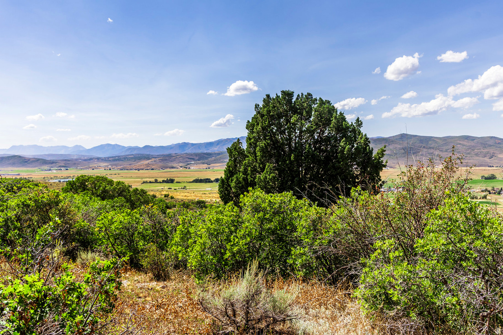 1417  SPLENDOR VALLEY RD Kamas, UT 84036