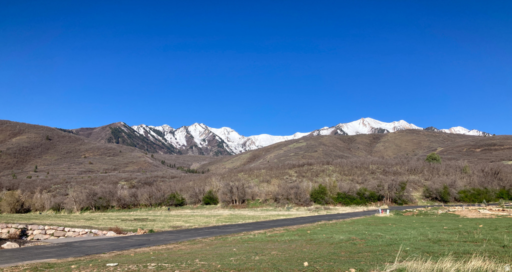 259 S MEADOW DR Springville, UT 84663