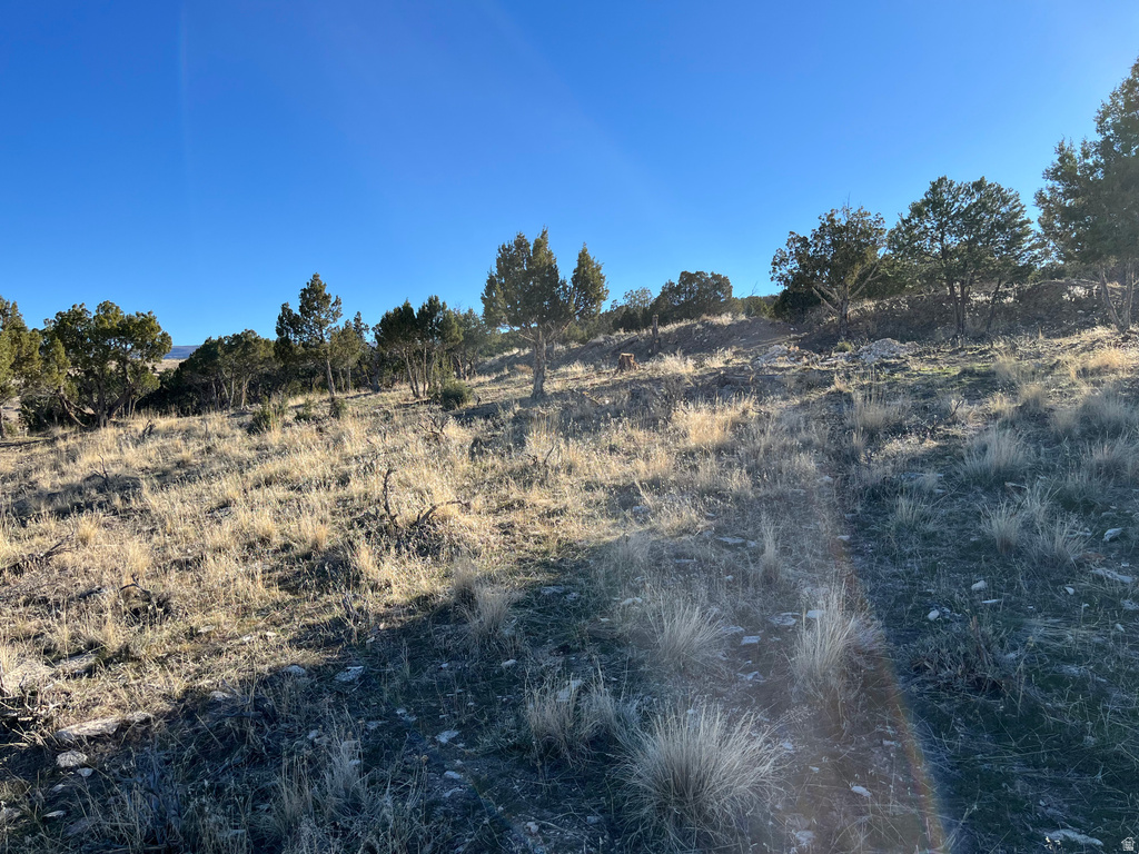 11175 S 4355 W Mayfield, UT 84643