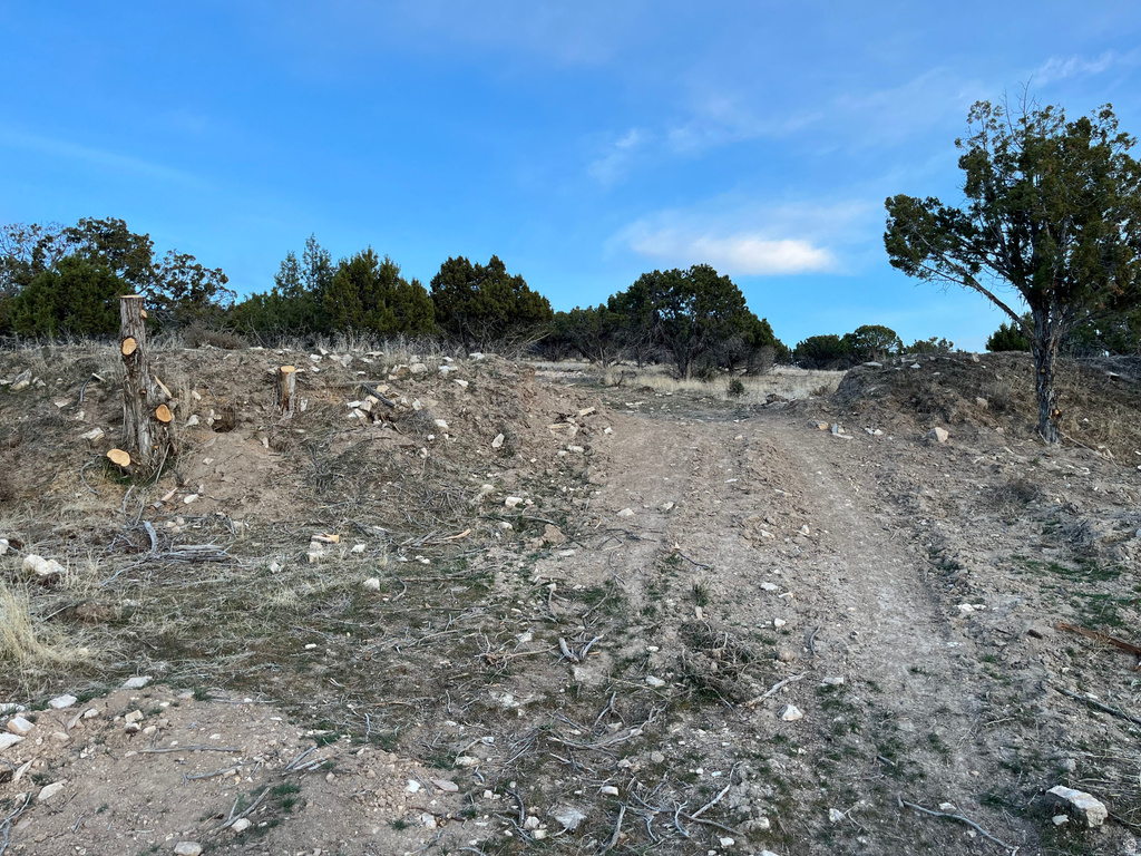 11175 S 4355 W Mayfield, UT 84643