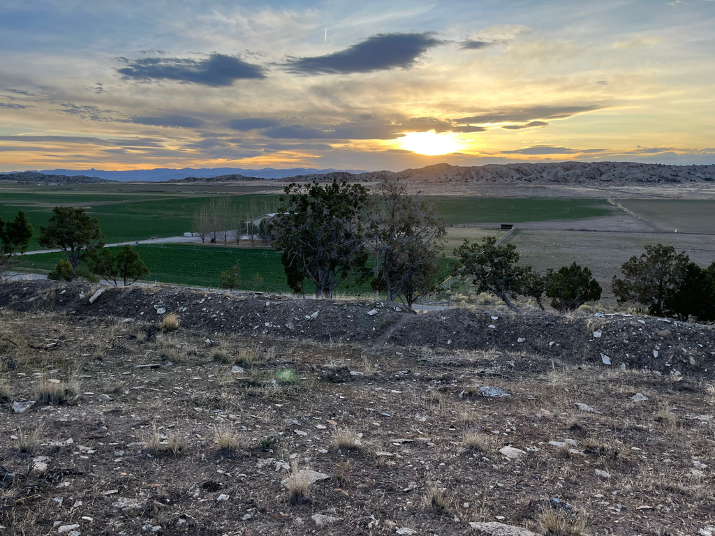 11175 S 4355 W Mayfield, UT 84643