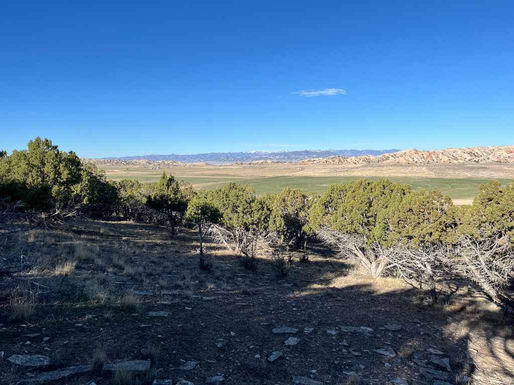 11175 S 4355 W Mayfield, UT 84643