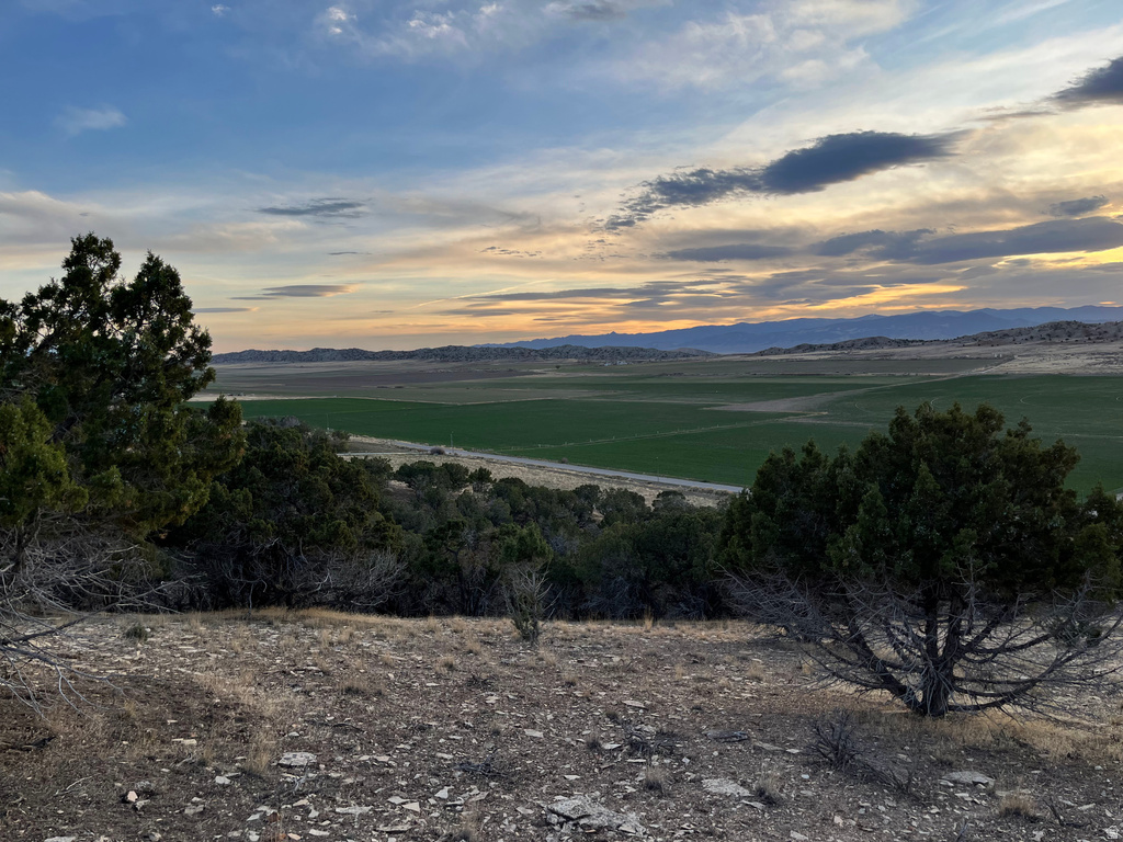 11205 S 4365 W Mayfield, UT 84643