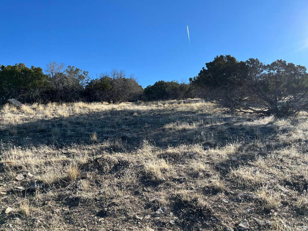 11205 S 4365 W Mayfield, UT 84643