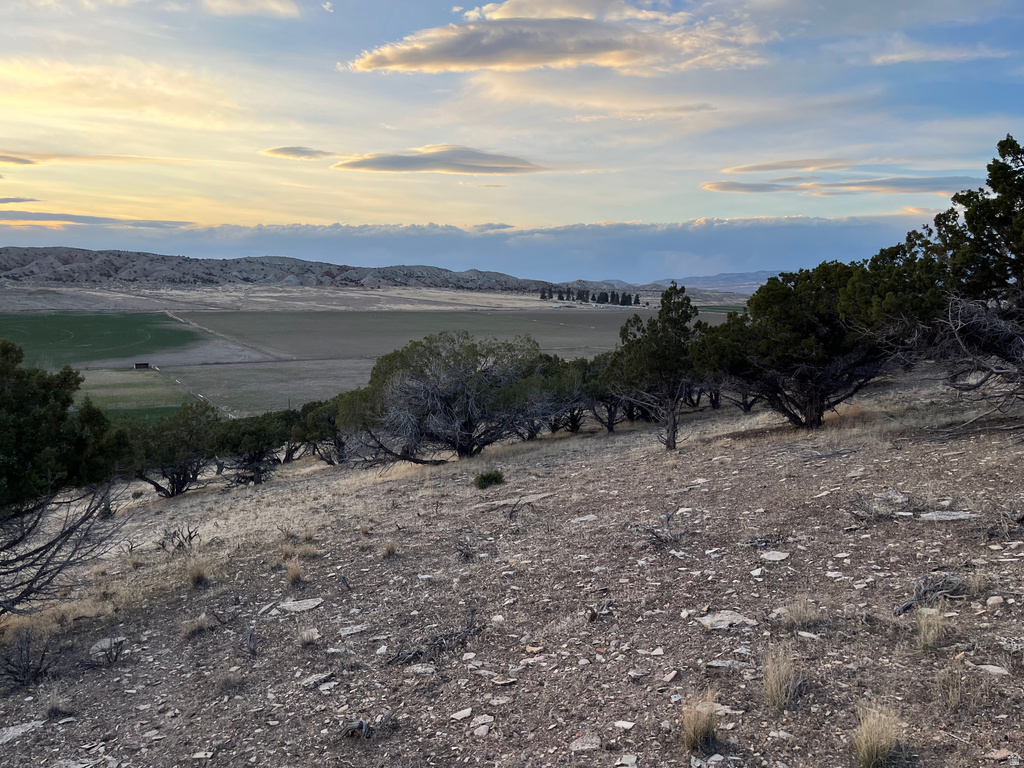 11205 S 4365 W Mayfield, UT 84643