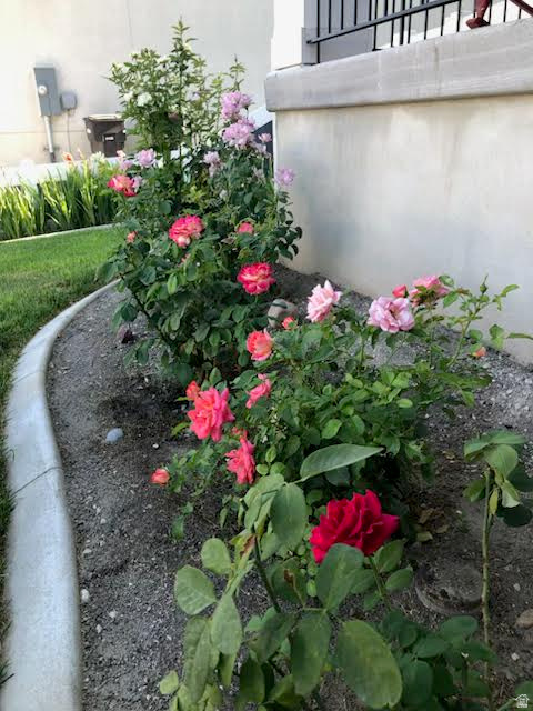 1798 S 730 W Provo, UT 84601