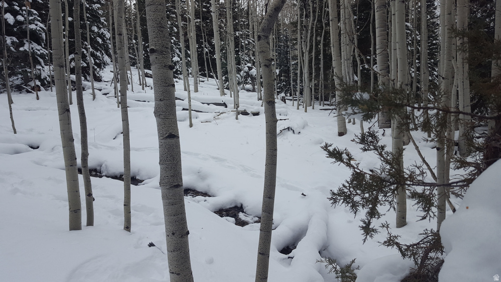 28 S FAWN RD Panguitch, UT 84759