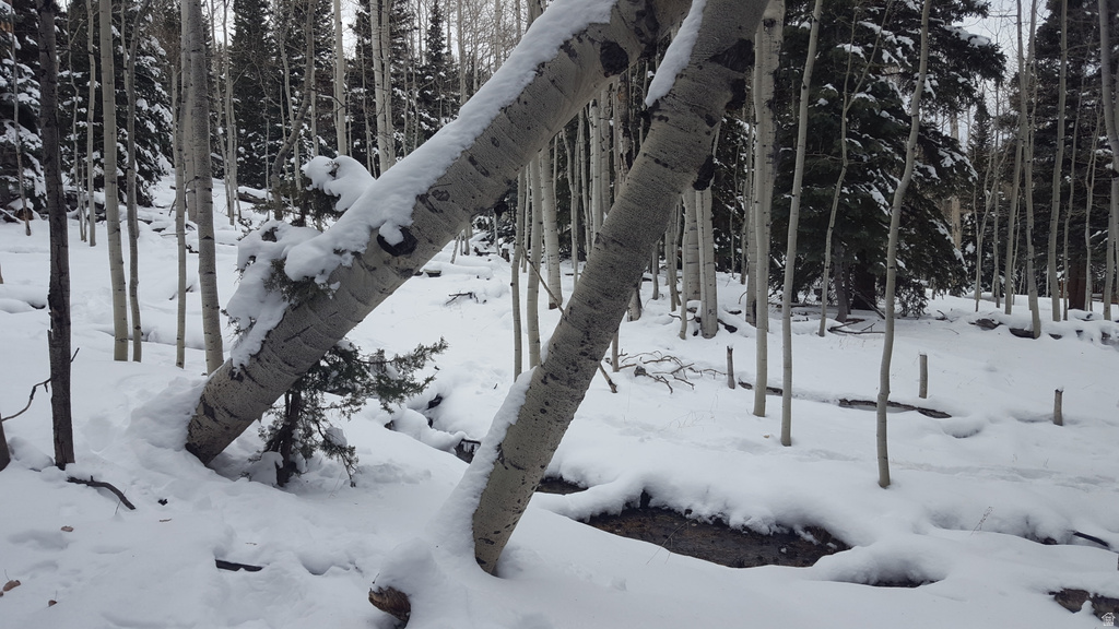 28 S FAWN RD Panguitch, UT 84759