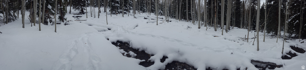 28 S FAWN RD Panguitch, UT 84759