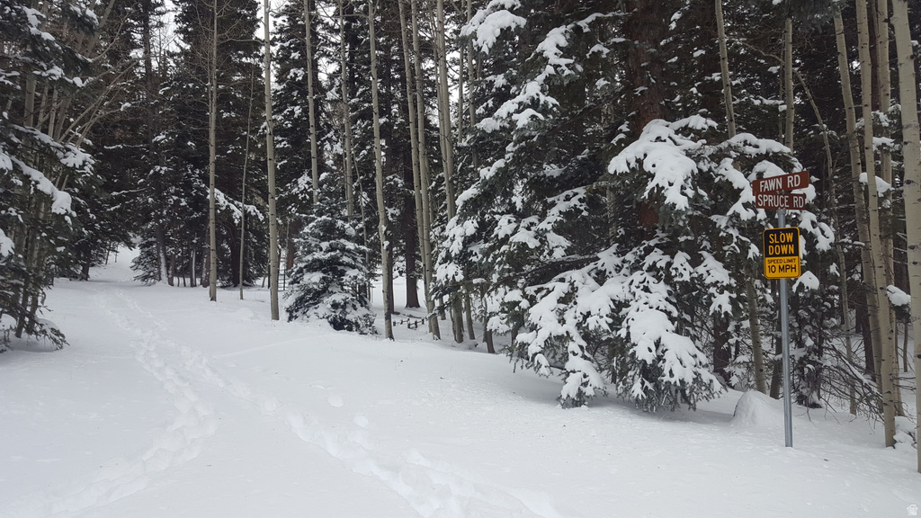 28 S FAWN RD Panguitch, UT 84759