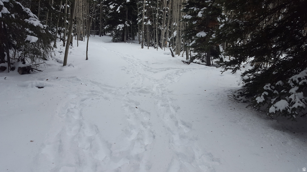 28 S FAWN RD Panguitch, UT 84759