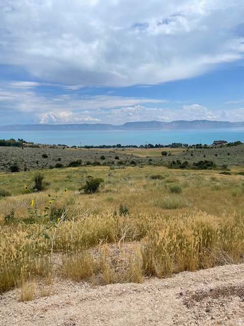 2930 N ELK HOLLOW DR Sandy, UT 84092