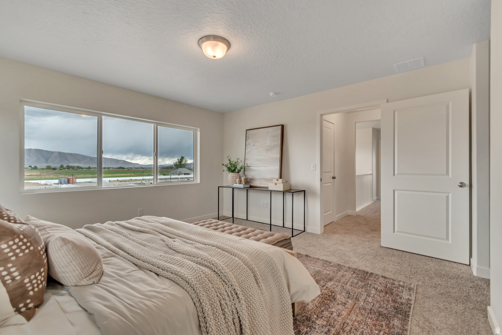 1116 W 1580 N #174 Salem, UT 84653