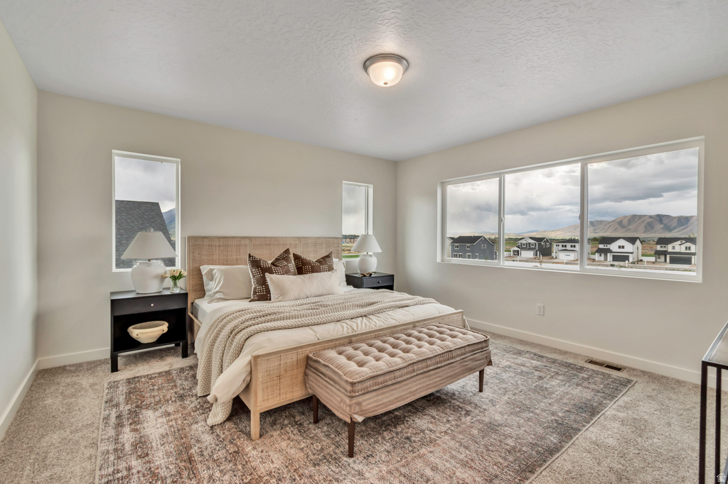 1116 W 1580 N #174 Salem, UT 84653