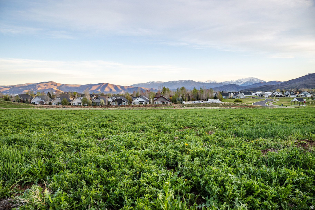 86 W WILSON CT Midway, UT 84049