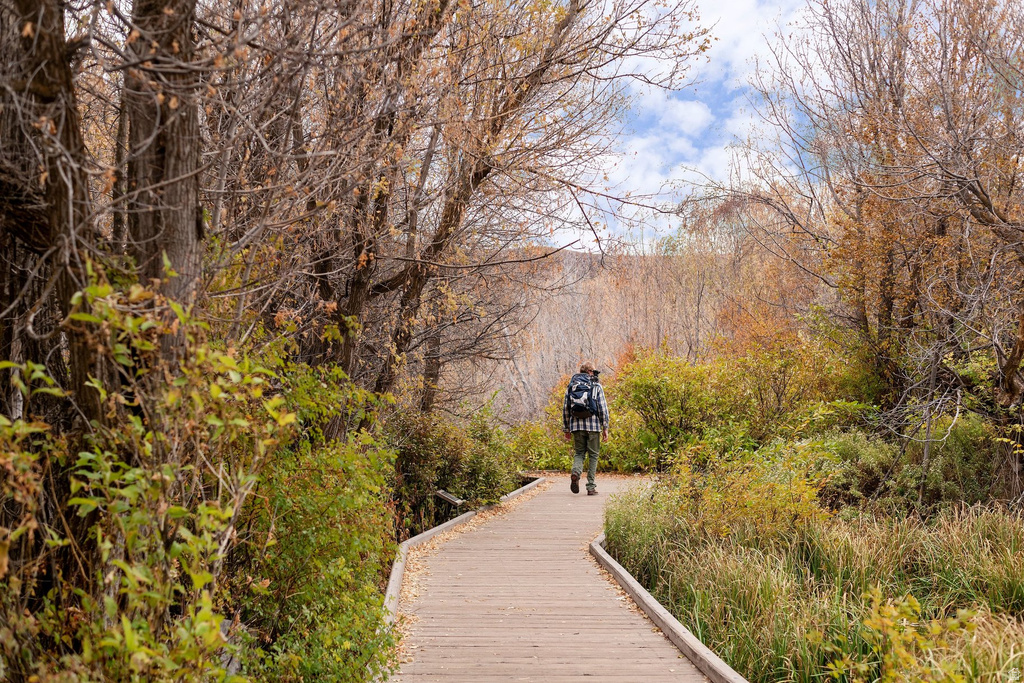 86 W WILSON CT Midway, UT 84049