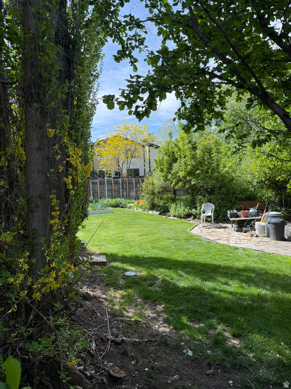 3 W 1420 S Farmington, UT 84025