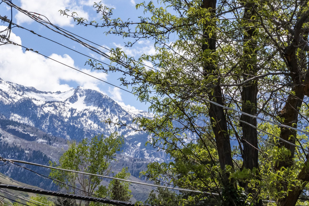 7187 S 2780 E Cottonwood Heights, UT 84121