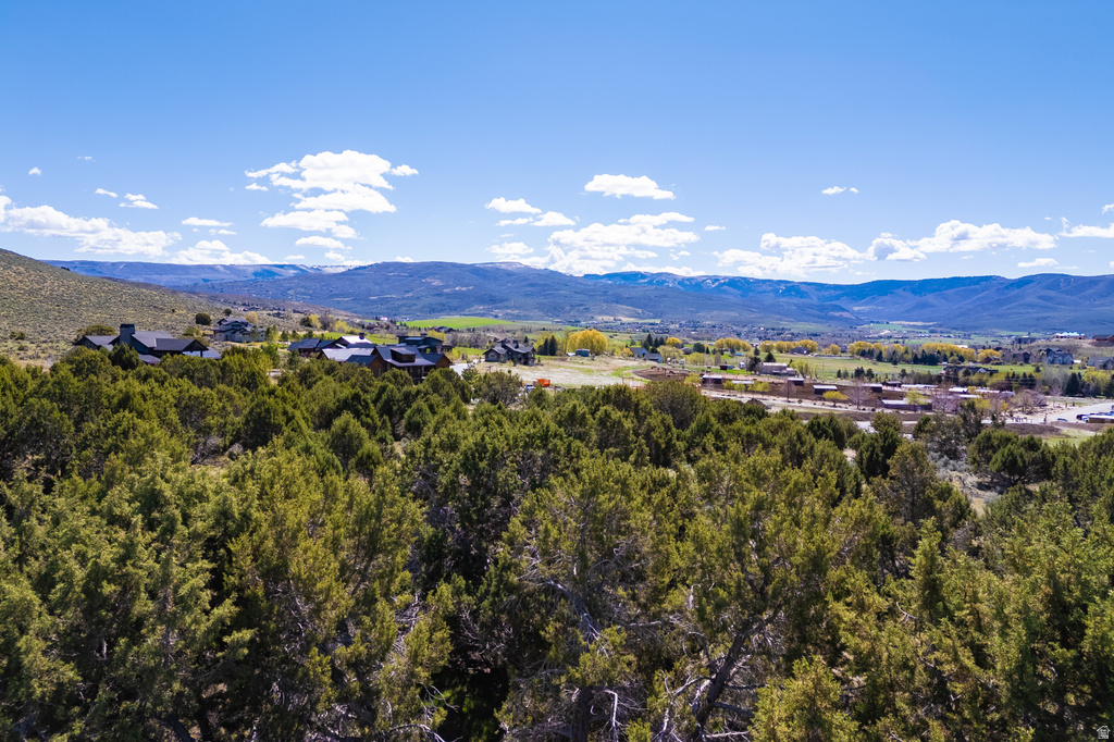 3120 N HORSE MOUNTAIN CIR Heber City, UT 84032
