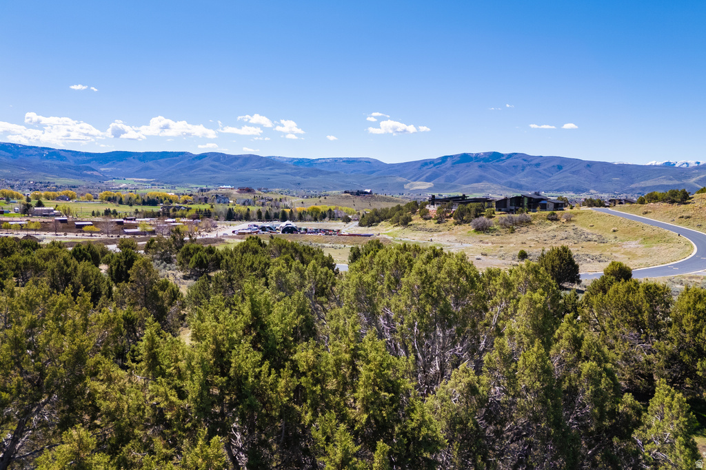 3120 N HORSE MOUNTAIN CIR Heber City, UT 84032