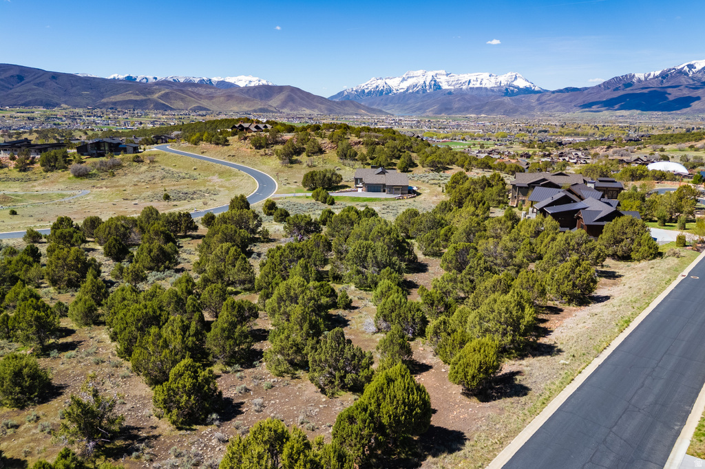 3120 N HORSE MOUNTAIN CIR Heber City, UT 84032