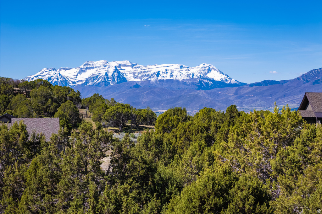 3120 N HORSE MOUNTAIN CIR Heber City, UT 84032