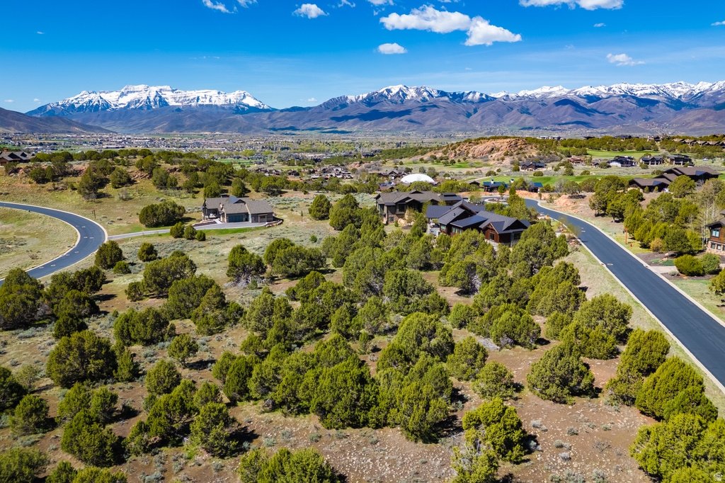 3120 N HORSE MOUNTAIN CIR Heber City, UT 84032