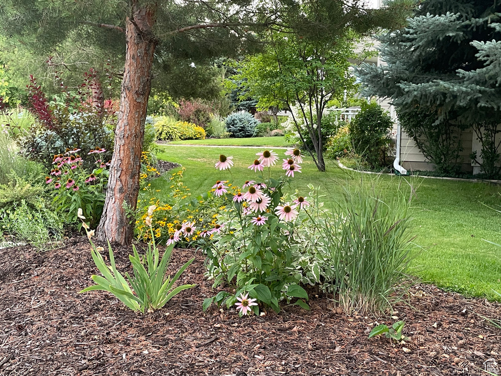 243 S EASTRIDGE Logan, UT 84321