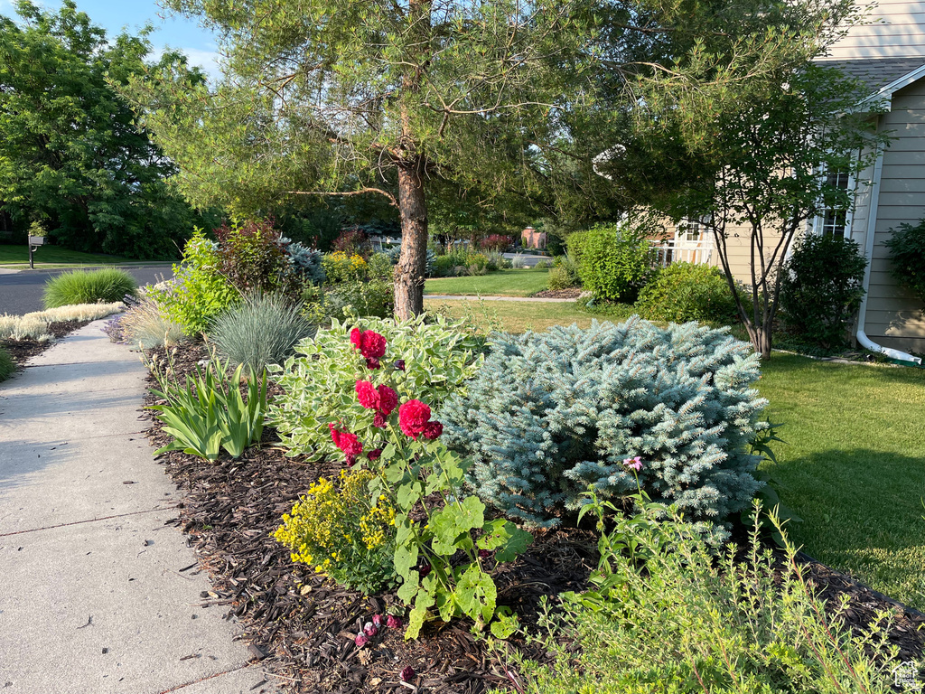 243 S EASTRIDGE Logan, UT 84321