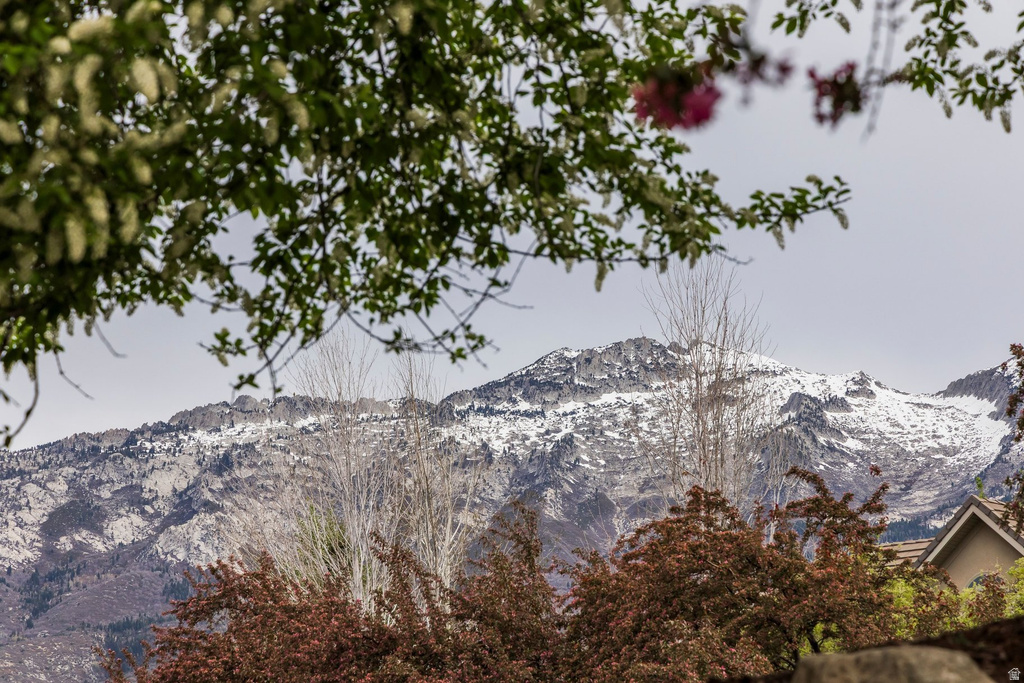 86 S BALD MOUNTAIN DR Alpine, UT 84004