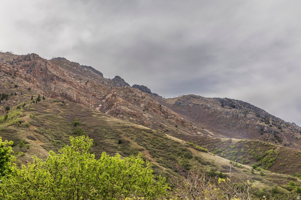 86 S BALD MOUNTAIN DR Alpine, UT 84004