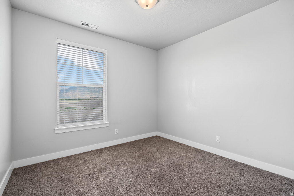 118 W SILVER SPRINGS DR Vineyard, UT 84059