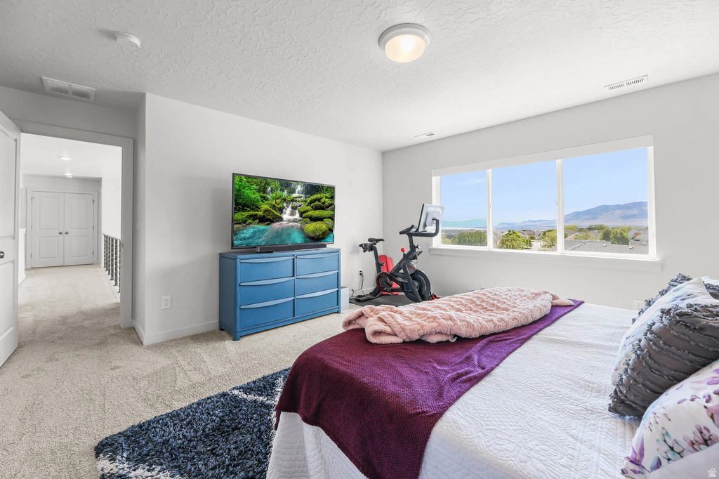 2553 N BLUEBELL DR Saratoga Springs, UT 84045