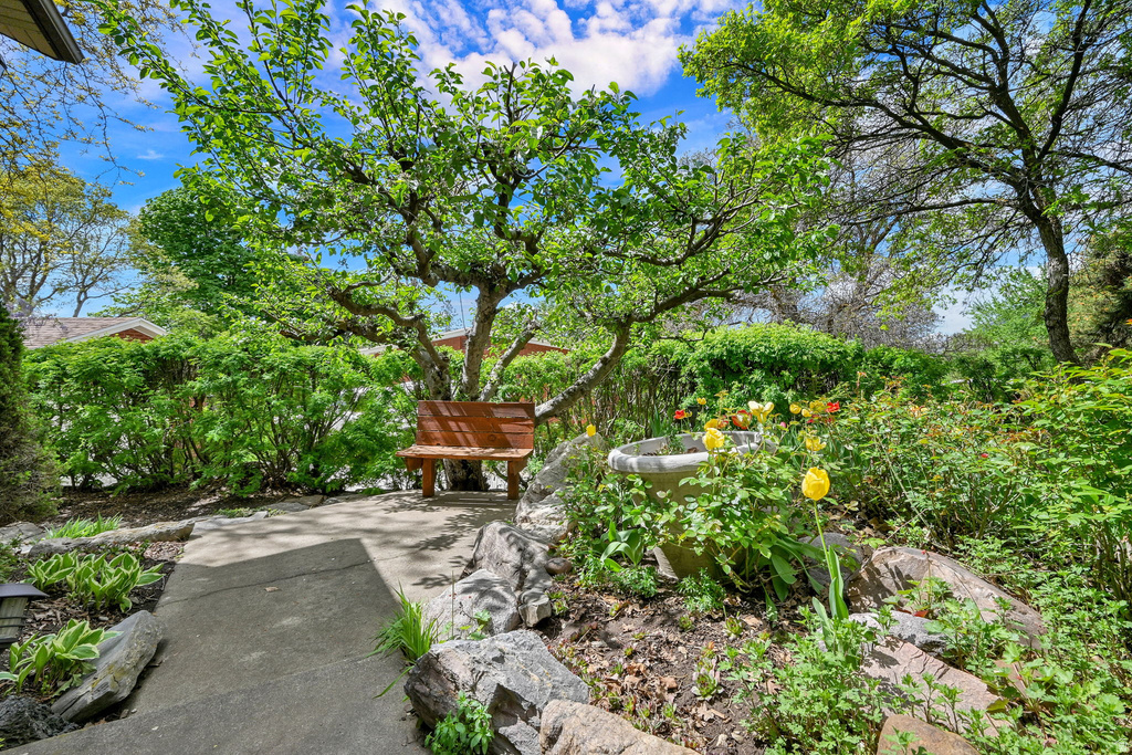 1333 E 2550 N North Ogden, UT 84414